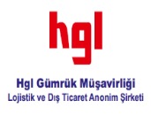 Logo - HGL GÜMRÜK MÜŞAVİRLİĞİ LTD.ŞTİ